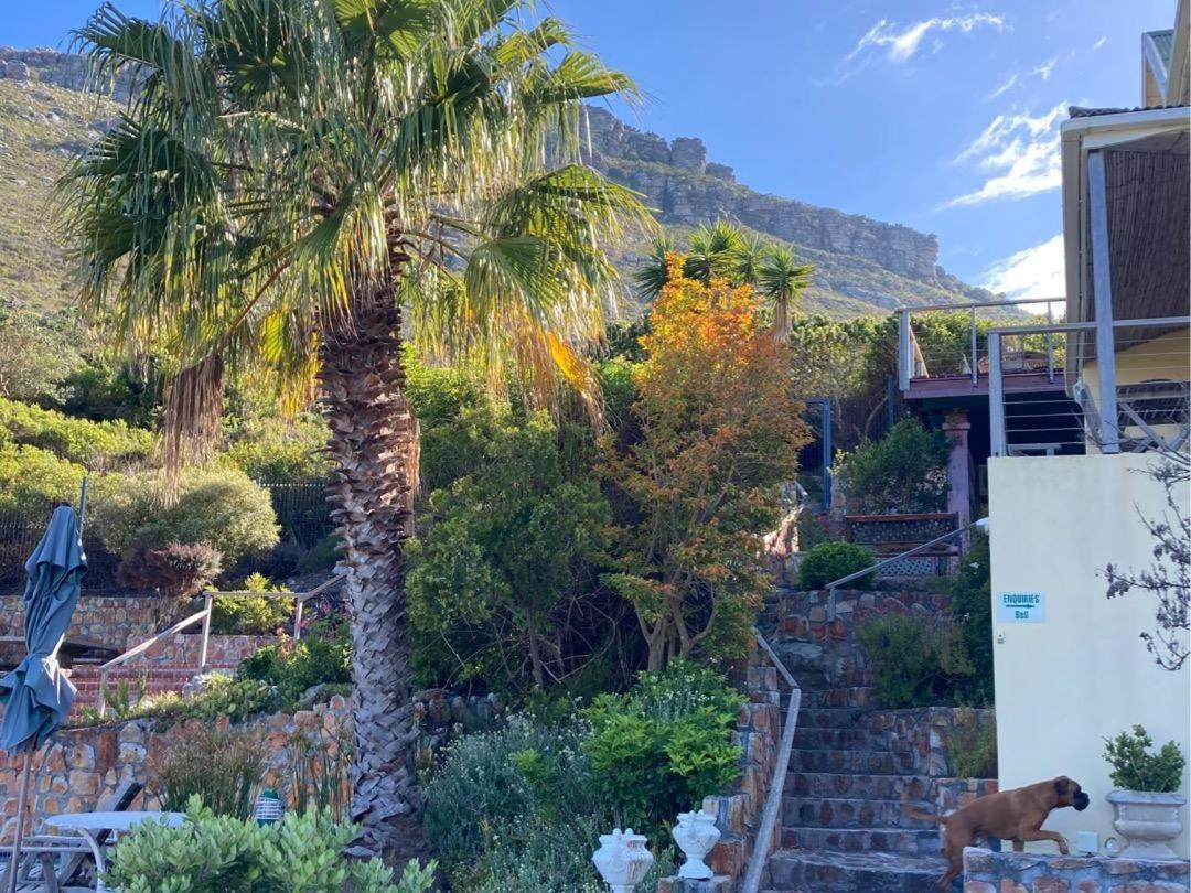 Dunvegan Lodge Clovelly Esterno foto